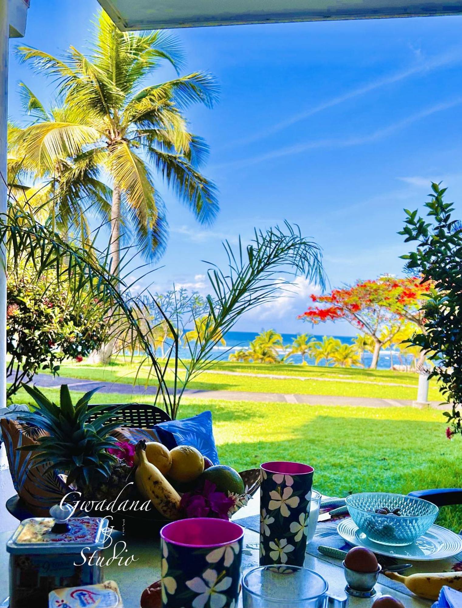 Acces Direct Plage, Vue Mer D'Exception, Les Gwada Studios, Village Vacances Sainte-Anne  Exterior photo
