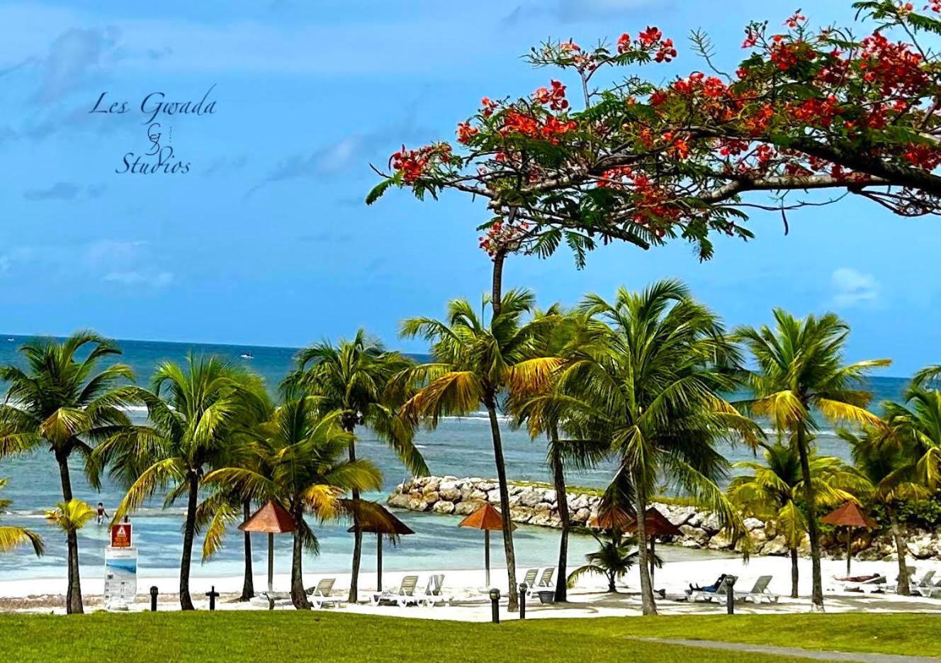 Acces Direct Plage, Vue Mer D'Exception, Les Gwada Studios, Village Vacances Sainte-Anne  Exterior photo